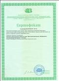 Сертификат  к диплому №267-942-357/ОУ-10, 2012 - 2013 учебный год